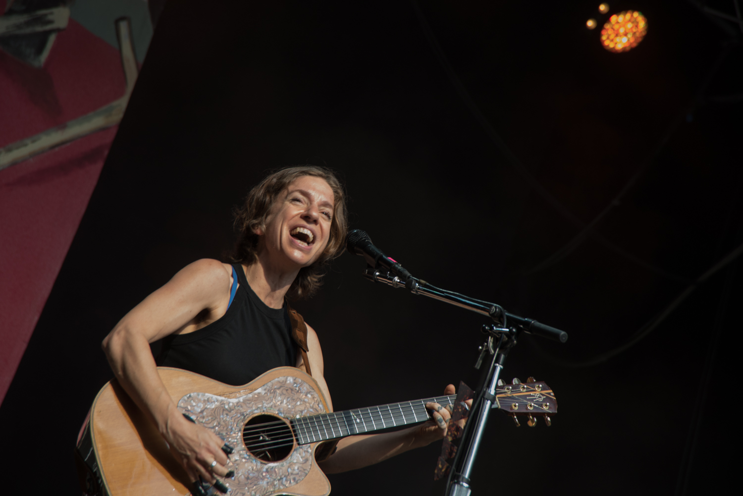 Ani DiFranco