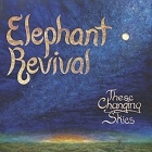 These Changing Skies (2013)