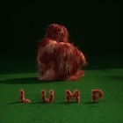 LUMP (2018) 